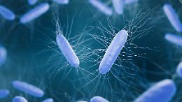Clostridium difficile: cos'&egrave; il batterio killer al centro del caso di Tropea