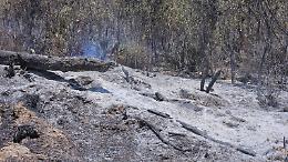 Inferno di fuoco a Torre Salsa: tre focolai distruggono la riserva naturale, caccia ai piromani