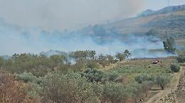 Roghi dolosi tra Agrigento e Raffadali: inceneriti secolari uliveti e vigneti pronti al raccolto