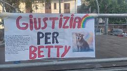 Dal lancio del quarto piano al cuore della piazza: l'addio alla cagnolina Betty scuote San Giovanni La Punta