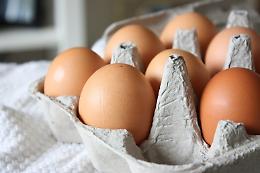 Uova da allevamento all'aperto vendute all'Eurospin ritirate per salmonella, avviso del ministero