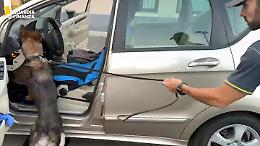 Catania, 2,1 kg di cocaina nascosti nel cruscotto dell'autovettura: arrestato un 68enne