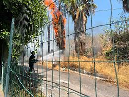 Ancora un incendio a Catania: in fiamme le palme di fronte ai campetti di calcio di via Velletri
