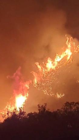 Fiamme alte cinque metri minacciano le case: i residenti fermano il maxi incendio con secchi d'acqua