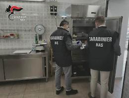 Blitz del Nas a Ustica: cibo scaduto da anni e blatte nei bar, sanzioni per 24 mila euro