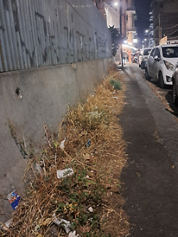Via San Nicol&ograve; al Borgo, marciapiede nel degrado: tra erbacce, rifiuti e difficolt&agrave; per i pedoni
