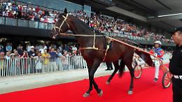 &Egrave; morto Varenne: la carriera del cavallo in sette tappe che hanno fatto la leggenda