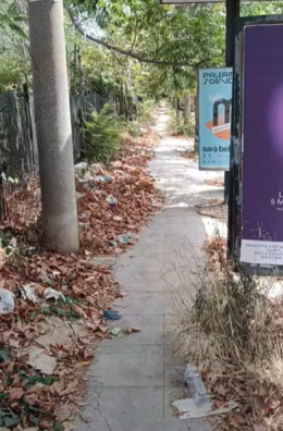 Marciapiede di via Leonardo da Vinci in direzione Borgo Nuovo impraticabile: residenti chiedono intervento urgente