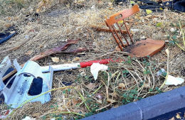 Catania, piazza Risorgimento tra blatte e spazzatura. &laquo;Uno spazio dimenticato&raquo;