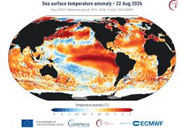 Oceani bollenti nell'estate record: perch&eacute; le misurazioni di Copernicus spaventano gli esperti