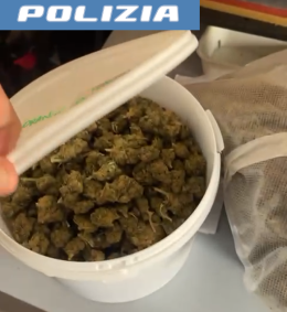Smascherato il pusher 2.0: 3,5 kg di marijuana nel box comprata online nei Paesi Bassi