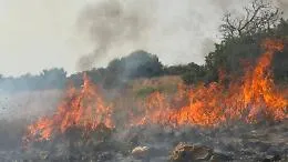Vittoria, nuovo incendio in contrada Berdia