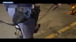 In auto con quattro panetti di cocaina ma al rientro a Catania lo aspettava la Polizia