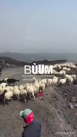Mistero sull'Etna: il gregge tra la cenere nera fa il giro dei social