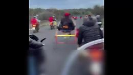 La corsa clandestina di cavalli  ripresa dal didentro a bordo di una moto: il video esclusivo