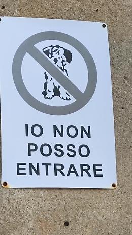 "Pupa" va a trovare la padrona defunta, prima il divieto e poi la gioia della bassottina