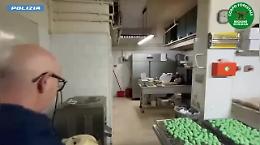 Il video del bar da incubo a Catania: blatte e vermi nella farina e 250 chili di prodotti scaduti, chiuso 
