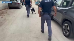 Arsenale in casa bunker: arrestato con mitragliatrice Skorpion, pistola e silenziatori - VIDEO