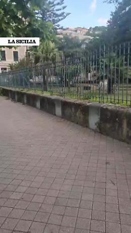 Palermo, ratti a passeggio in via Libert&agrave;: citt&agrave; invasa dalle periferie fino al centro [IL VIDEO]