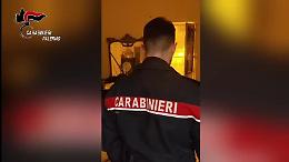 Palermo, scoperta una serra in un edificio abbandonato nel quartiere Noce: i Carabinieri sequestrano 80 piante e oltre un chilo di droga