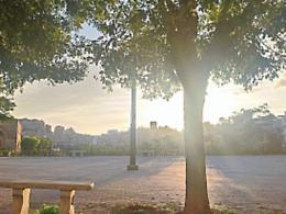 Piazza Valverde,  Forza Italia e Lombardo si contendono la “paternità” del contributo