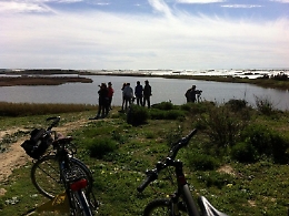 Gela, l'emergenza al Biviere: il lago si va prosciugando, servono interventi urgenti