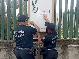Caltagirone, sequestrato un impianto per la raffinazione dell’olio di oliva