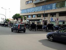 Il Comune di Palermo ci prova: &laquo;Basta con le carrozze, mezzi elettrici al posto dei cavalli&raquo;