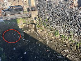 Torrente Continella, liquami e rischio crolli