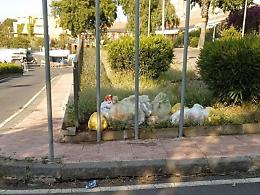 Rifiuti gettati per la strada, la letterina della figlia incastra pap&agrave; &ldquo;distratto&rdquo; 