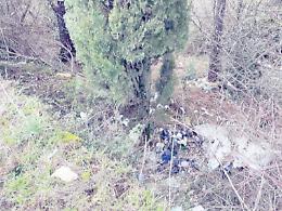 Parco discarica, sulle Madonie &egrave; ping pong di competenze