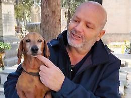 Cimitero di Sant'Orsola vietato al cane, il regolamento diventa un caso
