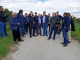 Al capezzale delle aziende ferite