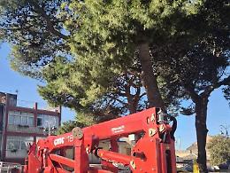 Piano d&rsquo;urto per la cura del verde