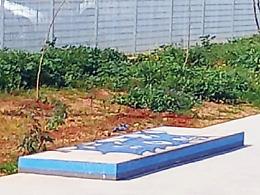 Palermo, lo skatepark pi&ugrave; grande della Sicilia vandalizzato prima ancora dell'apertura: allarme per decoro e manutenzione