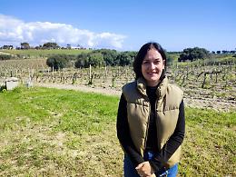 Vino con meno alcol? In Sicilia c&rsquo;&egrave; chi lo fa gi&agrave; e non &egrave; pi&ugrave; un tab&ugrave;, il primo esperimento nel Sud Est