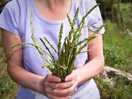 Una primavera perfetta per &ldquo;cogghiri viddura&rdquo; e riscoprire un&rsquo;arte antica, la partecipazione dei giovani a corsi e attivit&agrave;