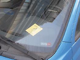 Contrassegno disabili, polemica al Comune. D'Alessandro: &laquo;Troppi ostacoli&raquo;. Falzone: &laquo;Firma in presenza obbligatoria per legge&raquo;