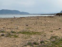 La spiaggia di Mondello, la spazzatura e la polemica social: perch&eacute; il lido non ha retto il primo assaggio  di estate