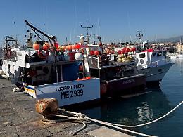 &laquo;La pesca sta affondando nel caro gasolio&raquo;