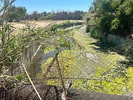 Canale Arci, altre polemiche per un rivolo lasciato aperto: residenti e balneari diffidano la Sidra