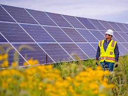 L'annuncio di Colianni: "Ddl Energia pronto". La Sicilia punta al 100% rinnovabile 
