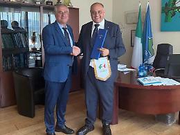 Progetto per il restyling del campo da hockey