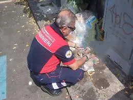Incastrati dalle fototrappole: quattro multati per abbandono di rifiuti