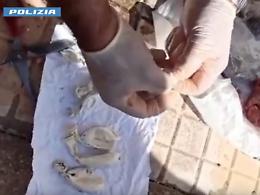 Droga nelle carceri: la gip concede i domiciliari all'avvocato indagato a Catania