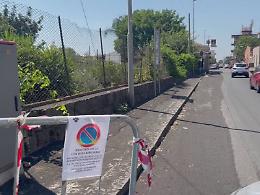 C&rsquo;&egrave; tensione a Trappeto dopo l&rsquo;uccisione della cagnolina
