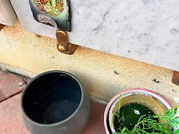 Al cimitero, oltre al rame, ora vanno a ruba persino i fiori finti