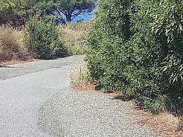 Strada Massa-Castanea, da un mese si chiede la bonifica