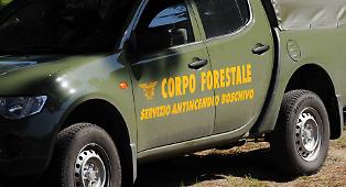 Corpo Forestale, entrano in servizio i primi 46 agenti vincitori del concorso che era stato sospeso