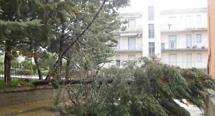 Il ciclone Harry in Sicilia, mercoled&igrave; 21 gennaio allerta gialla a Palermo: riaprono le scuole